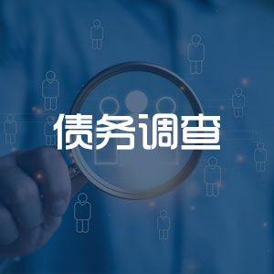 寻找债务人服务